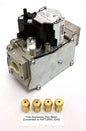 Sunstar 44504610 LP to NG Conversion Kit SG