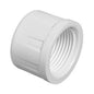 P40 448007 CAP THREADED 3/4