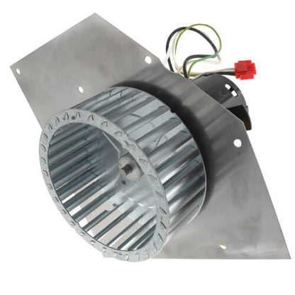 Weil-Mclain 510-312-312 Inducer Motor Assembly Packard 66312