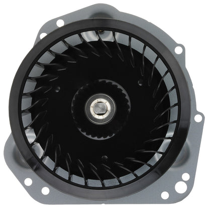 Rheem RTG20212K Blower Motor - RTG-199